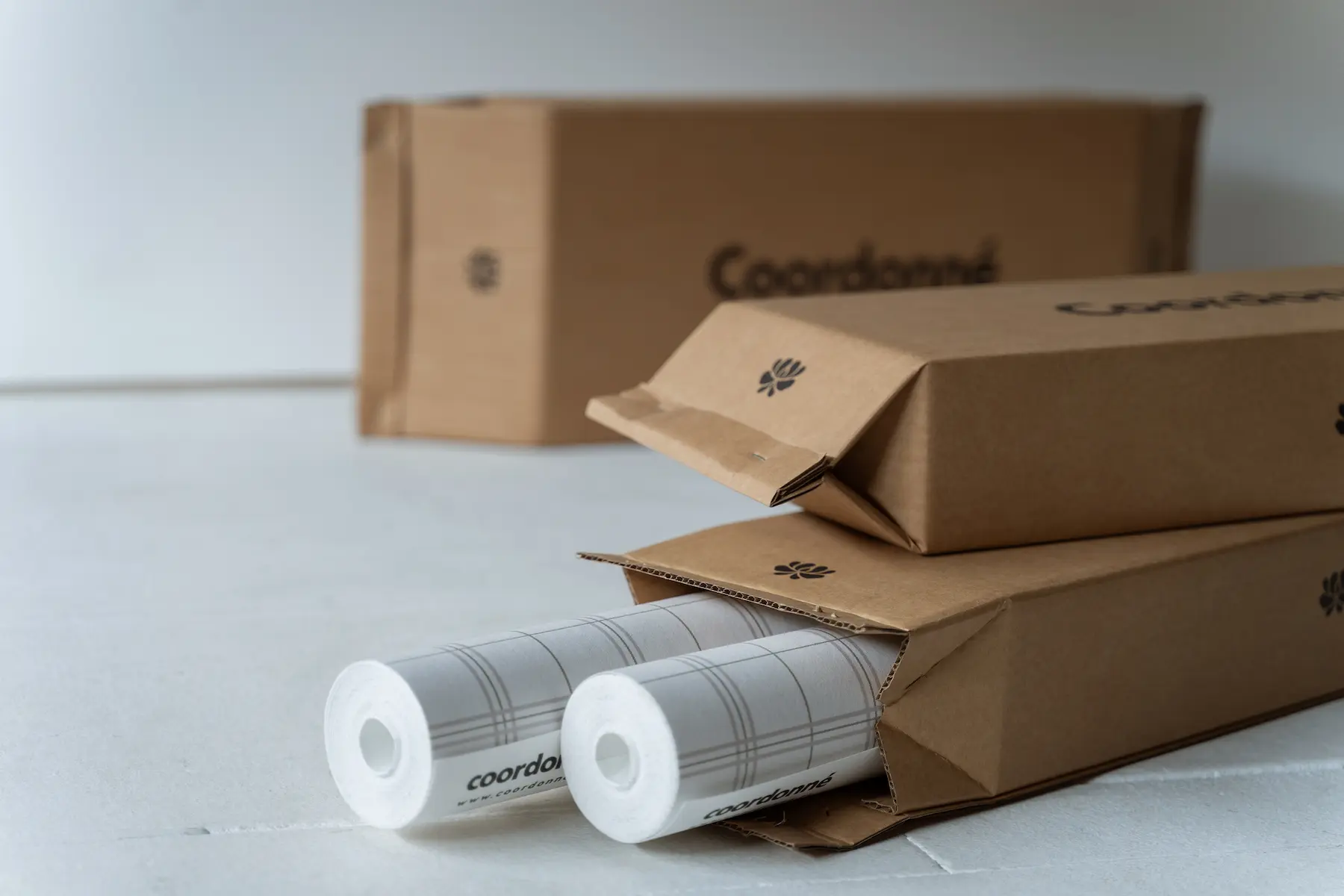Imagen 3 de eco-packaging