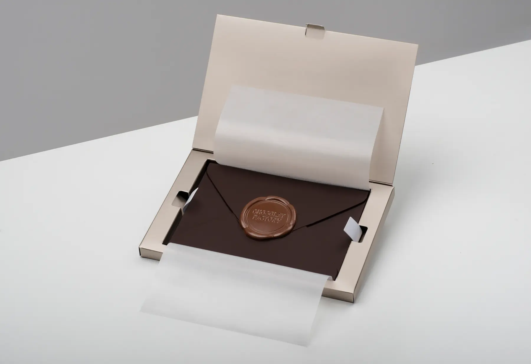 Imagen 3 de the-envelop
